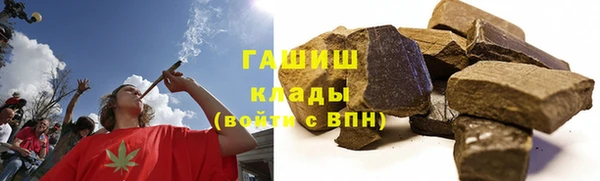 прущие грибы Алзамай
