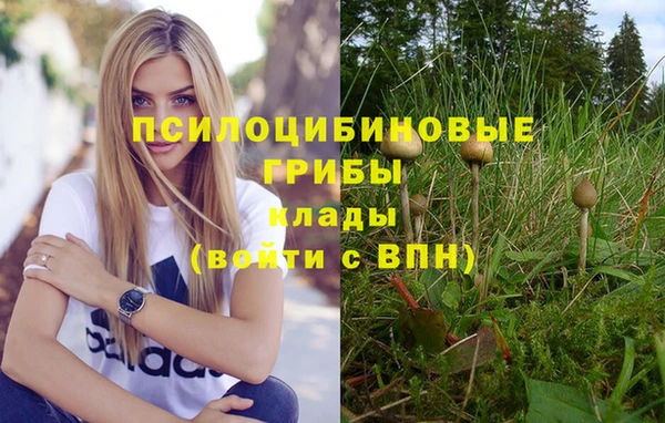 каннабис Алексин