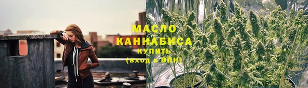прущие грибы Алзамай